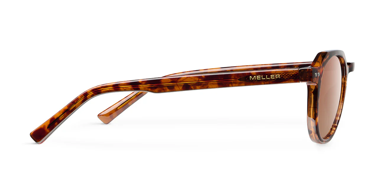 Chauen Tigris Brown - Image 3
