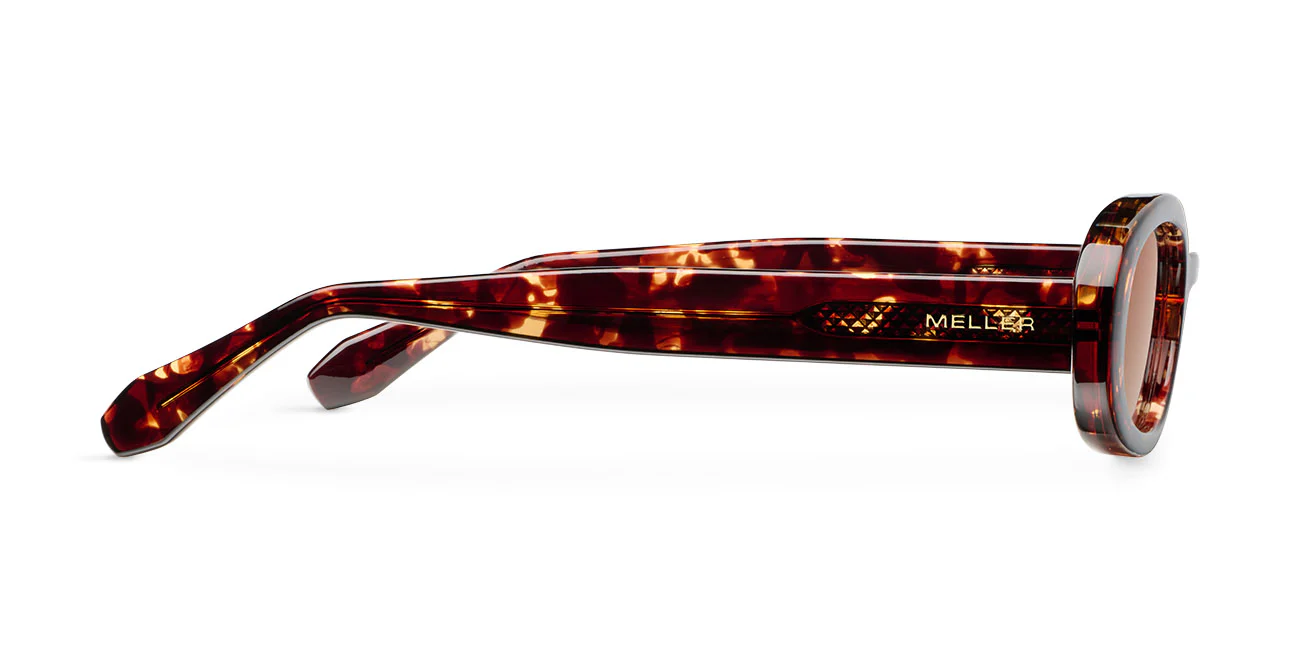 Kai Tigris Brown - Image 3