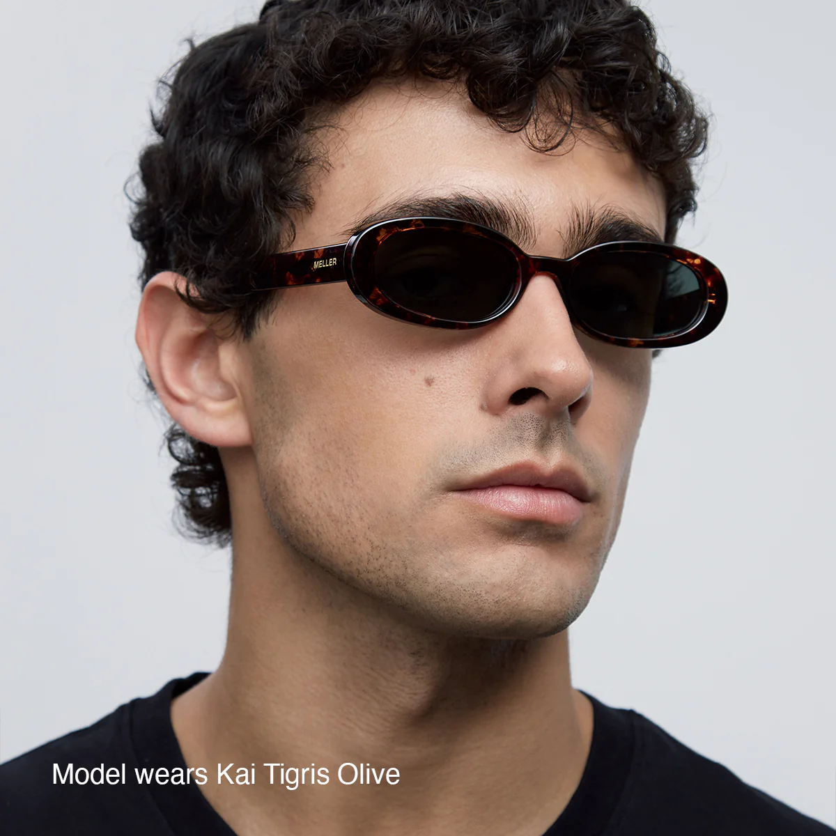 Kai Tigris Brown - Image 5