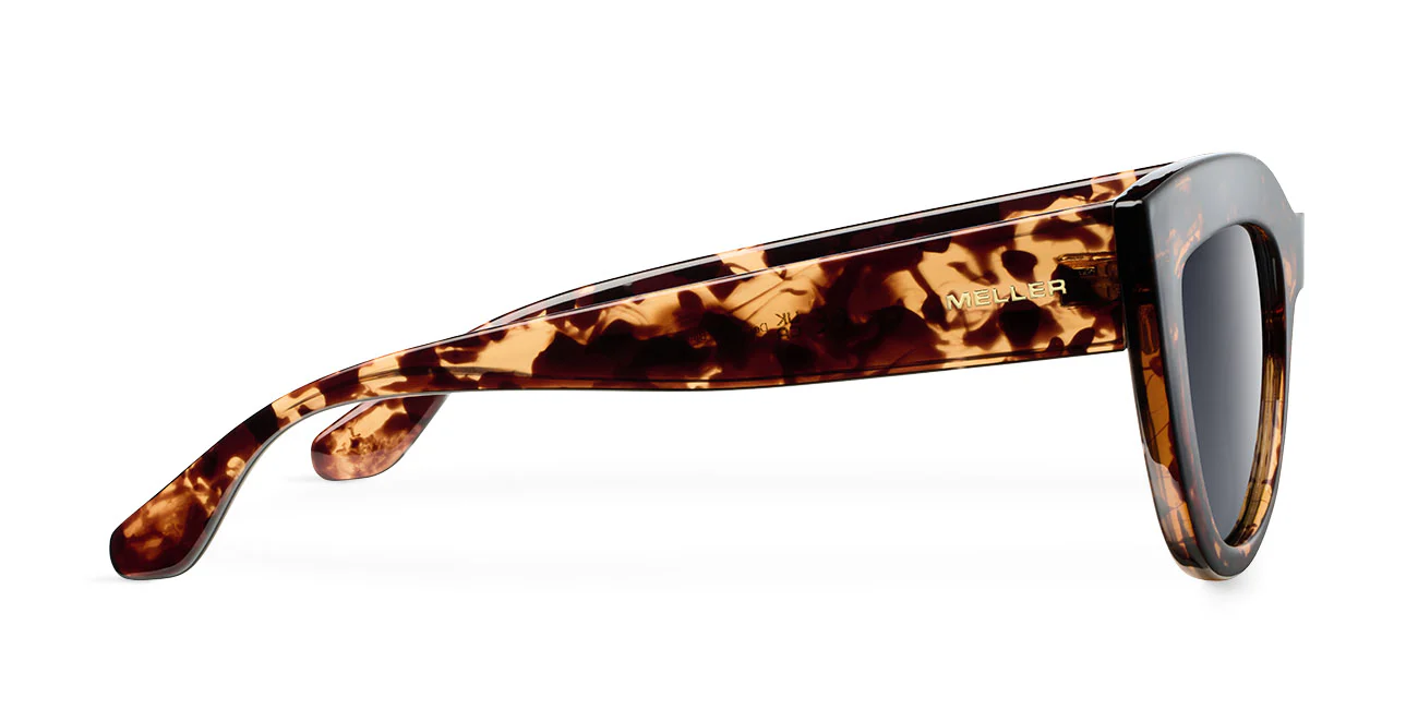 Karoo Tigris Carbon - Image 3