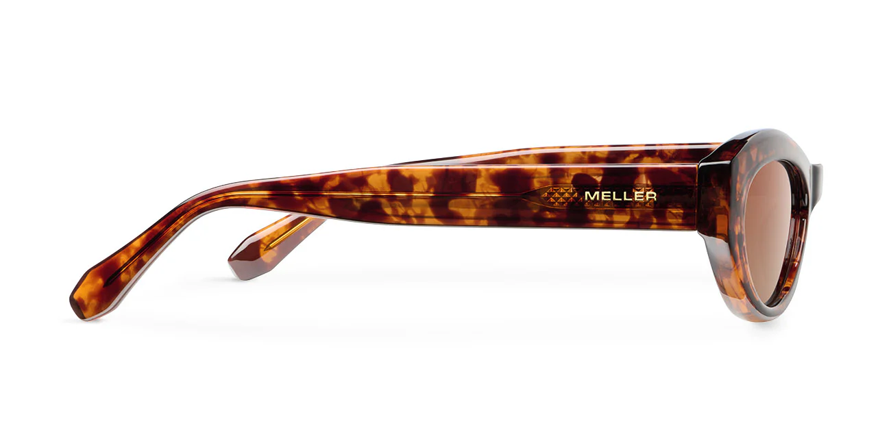 Mara Tigris Brown - Image 3