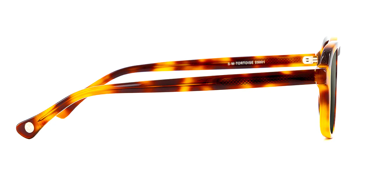 Maso Tortoise Olive - Image 3