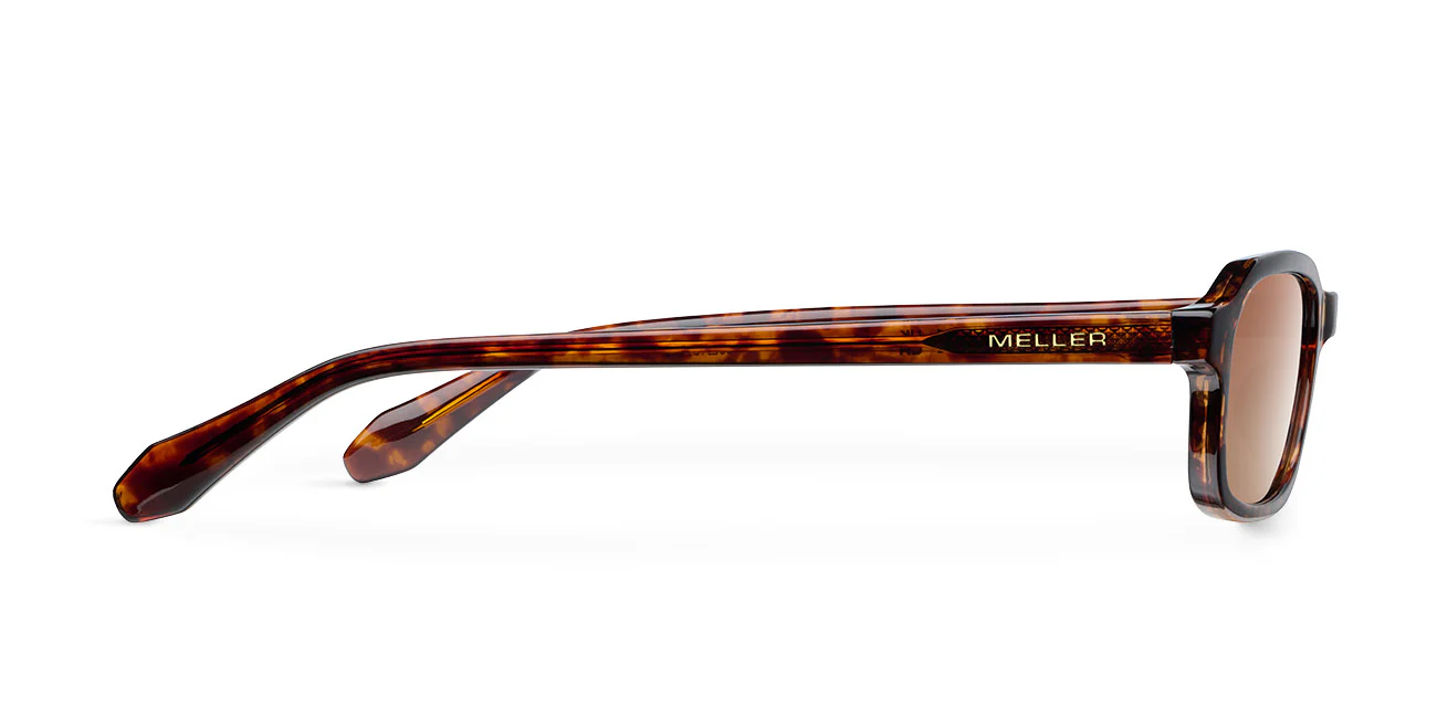 Pula Tigris Brown - Image 3