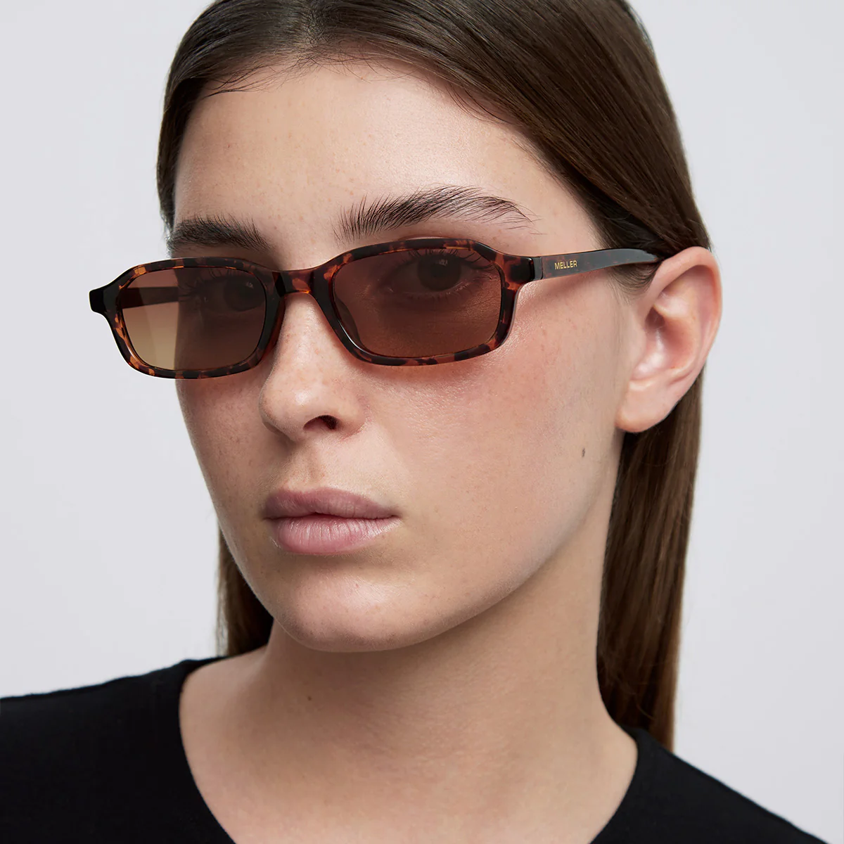 Pula Tigris Brown - Image 4