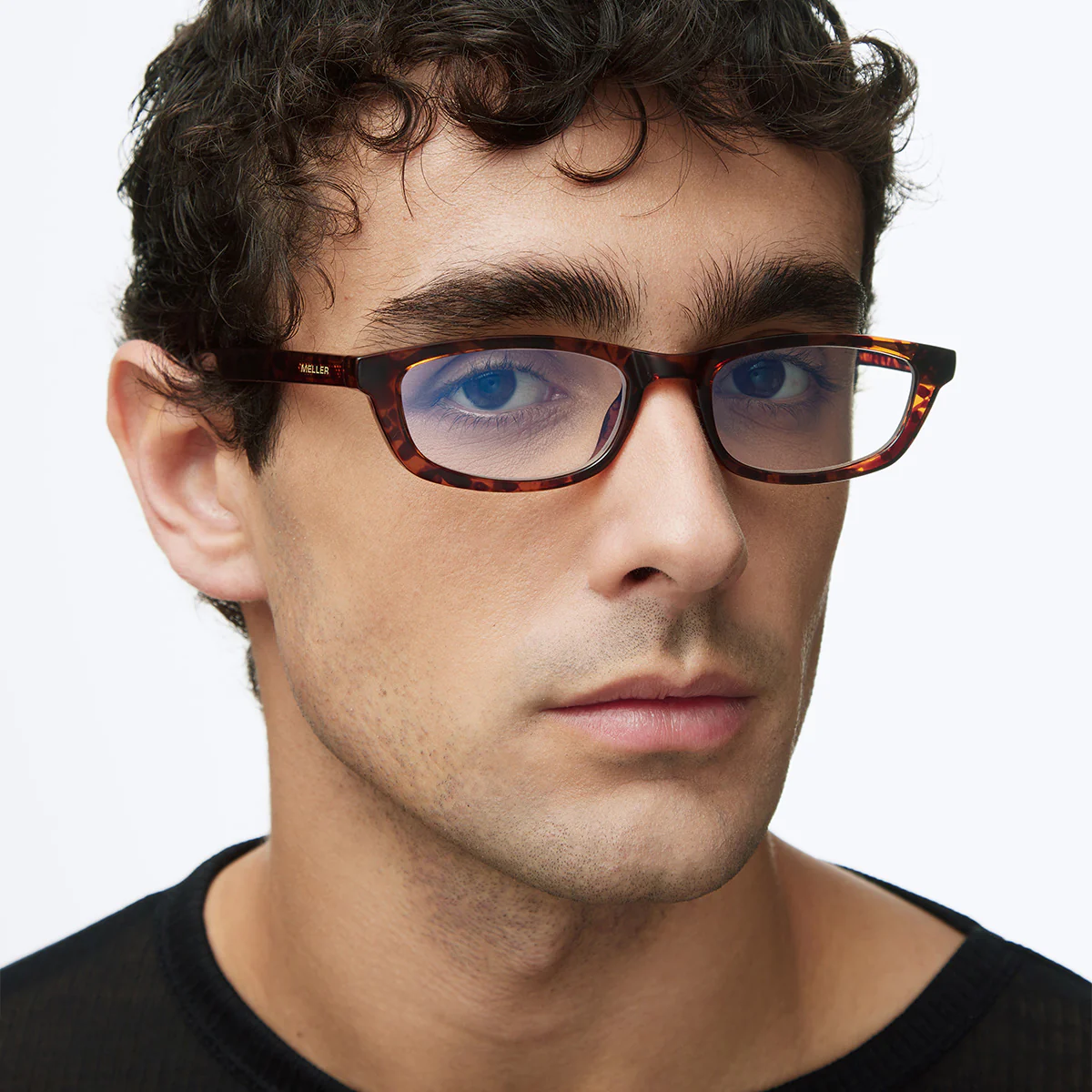 Rami Tigris - Image 5