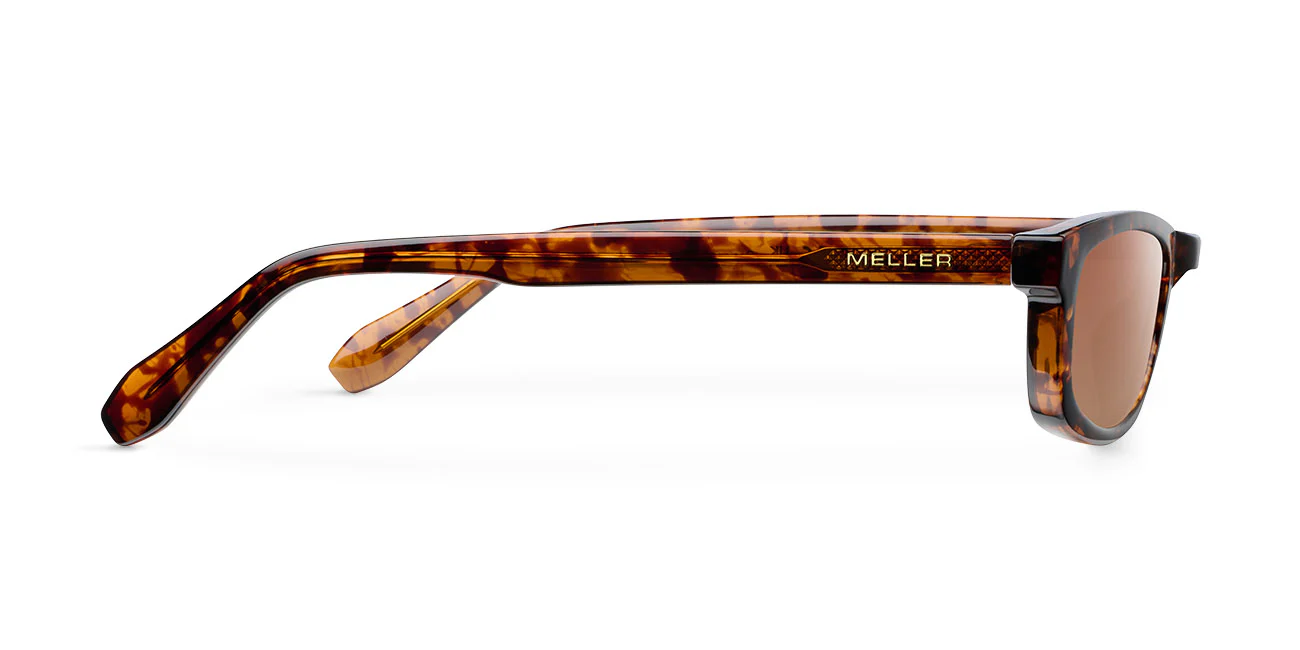 Rami Tigris Brown - Image 3