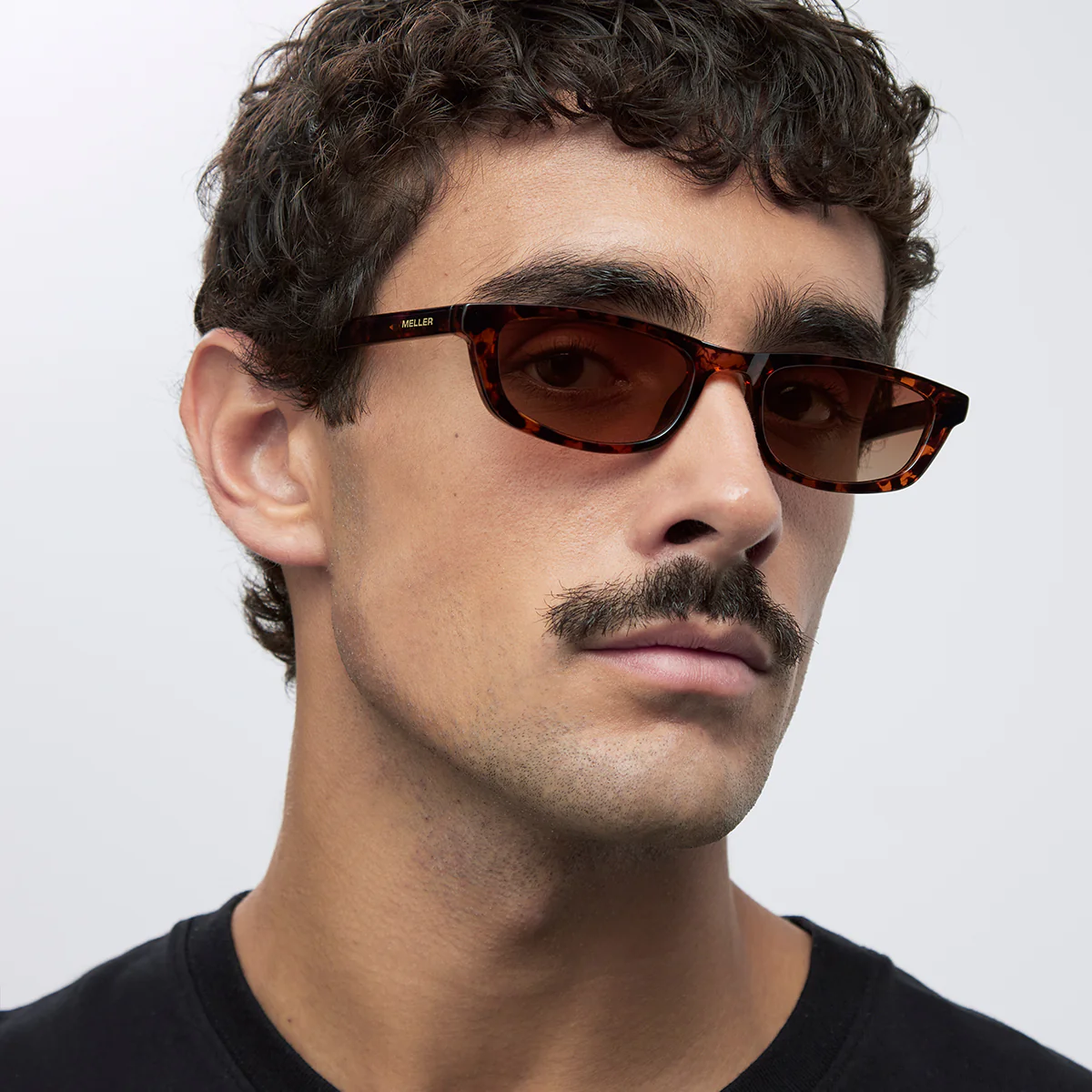 Rami Tigris Brown - Image 5