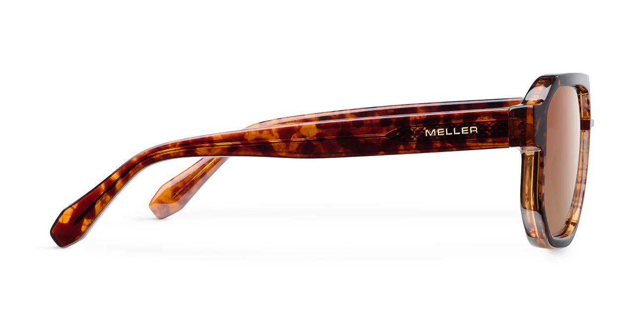 Seba Tigris Brown - Image 3