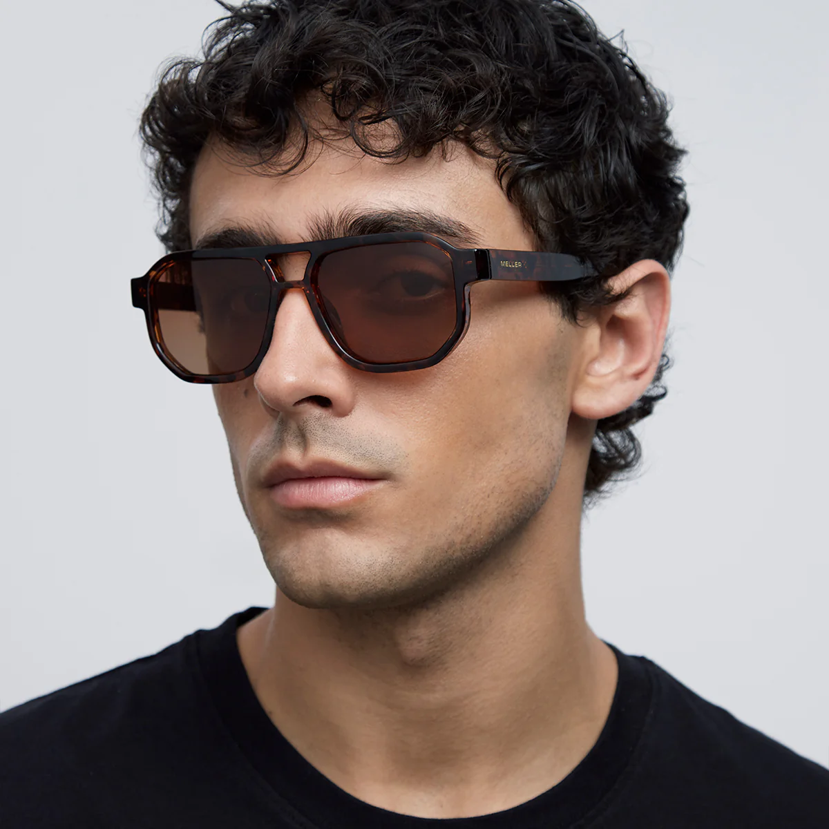 Seba Tigris Brown - Image 5