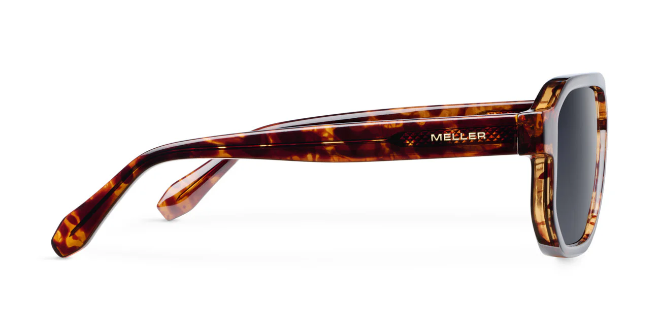 Seba Tigris Carbon - Image 3